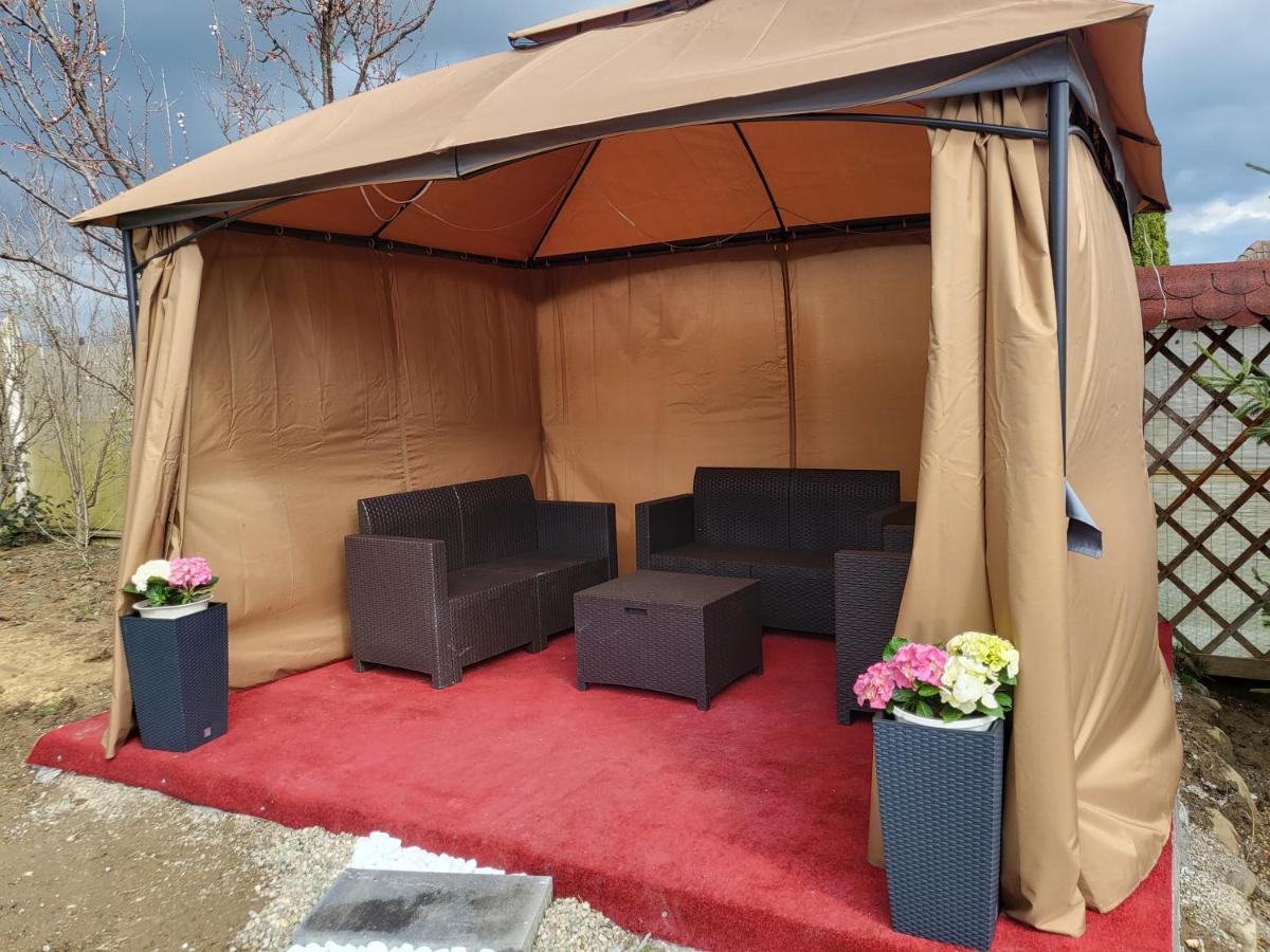 Вилла Vila Ana Cu Terasa Gratar Si Jacuzzi Сату-Маре Экстерьер фото